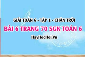 Giải bài 6 trang 70 Toán 6 Tập 1 SGK Chân trời sáng tạo